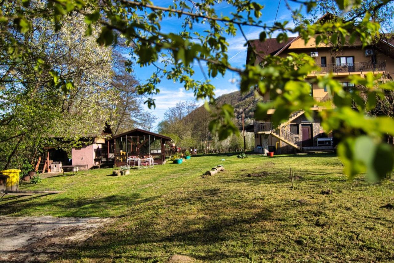 Motel Seaca Călimăneşti Dış mekan fotoğraf